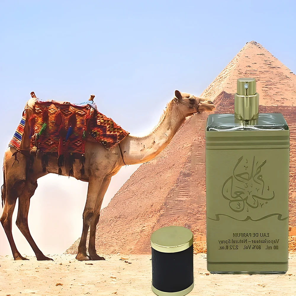 Original High Grade Fragrance Oil Lasting Scent Arab Desert Spring Unisex 80ml Pheromone Perfume Essential Oils For Deodorant